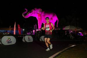 BIB: 
                            <button type="button" onclick="openModal(26542921)" class="btn btn-primary btn-sm float-right btn-popup" data-toggle="modal" data-target=".modal-high-quality">
                        <i class="fas fa-shopping-cart"></i> Add to Cart
                    </button>
                                            <button type="button" onclick="isThisMe(26542921, true)" class="btn btn-success btn-sm float-right btn-popup btn-isme hidden" data-toggle="tooltip" data-placement="bottom" title="นี่คือรูปของคุณใช่ไหม คลิกที่นี่เพื่อเอาเข้าอัลบั้ม">
                        <i class="fas fa-plus"></i> Add to album
                    </button>
                    <button type="button" onclick="isThisMe(26542921, false)" class="btn btn-warning btn-sm float-right btn-popup btn-isnotme hidden">
                        <i class="fas fa-ban"></i> Remove from album
                    </button>